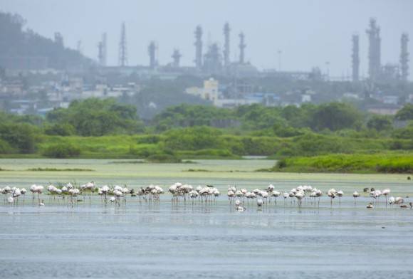 The Panje Wetlands