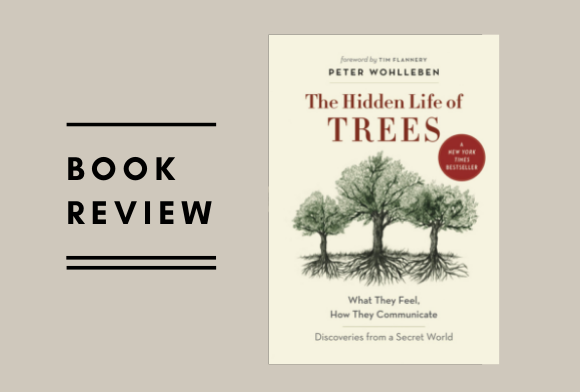 Book Review: The Hidden Life Of Trees