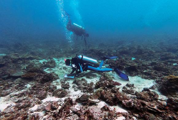 The Conscious SCUBA Diver