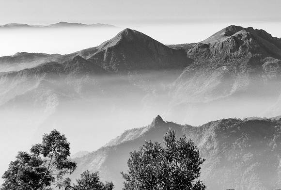 Rhapsody Revisited - The Western Ghats In Black And White