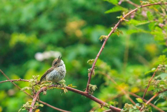 Inbox: November 2021