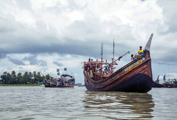 On The Trails of the Great Sawfish
