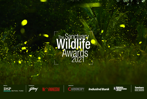 The Sanctuary Wildlife Awards 2021