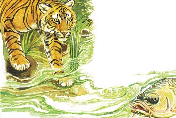 Book Review: The Tiger Of The River