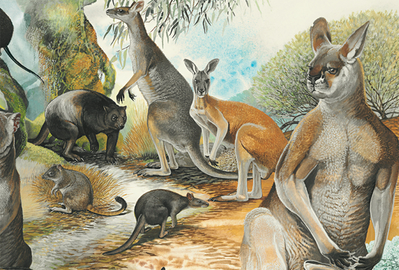 Humanimals November 2022