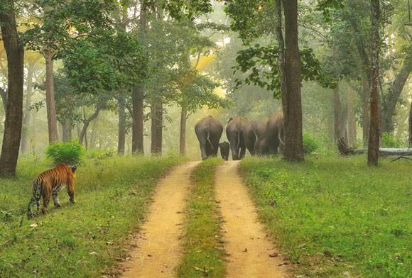 More Like Us Than Not