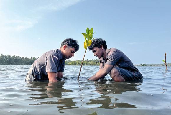 The False Ashoka Complacency (and Other Stories)