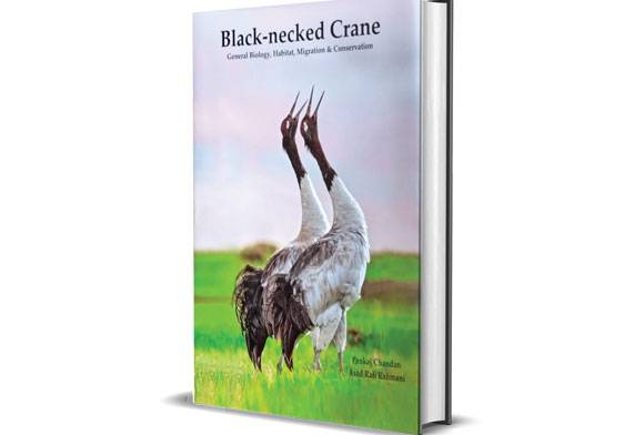 Book Review: Black-necked Crane: General Biology, Habitat, Migration & Conservation