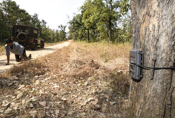 Science In Conservation - A Conversation