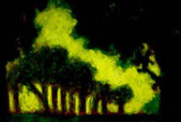 Gallery May 2024