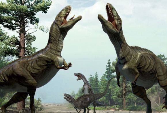Humanimals May 2024