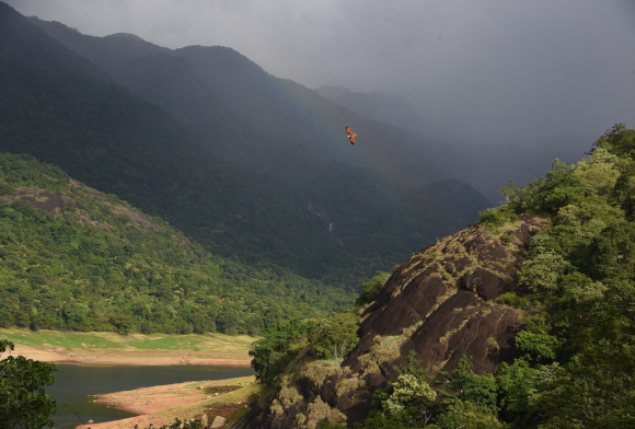Green Credit Programme: Greenwashing the Destruction of Forests