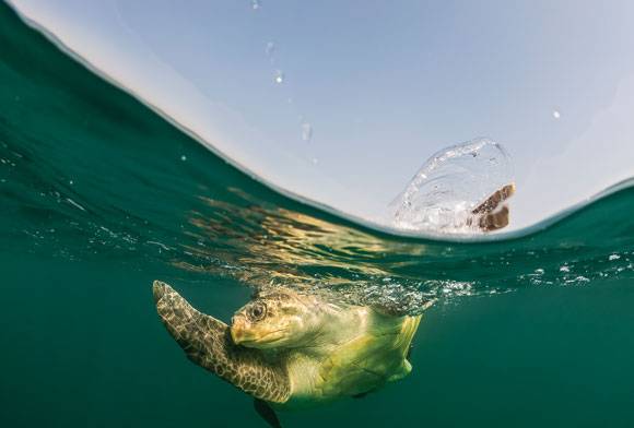 Planet Ocean: How We Share Our Seas