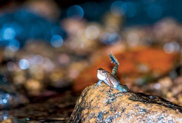 Photofeature - Rhythms Of Nature
