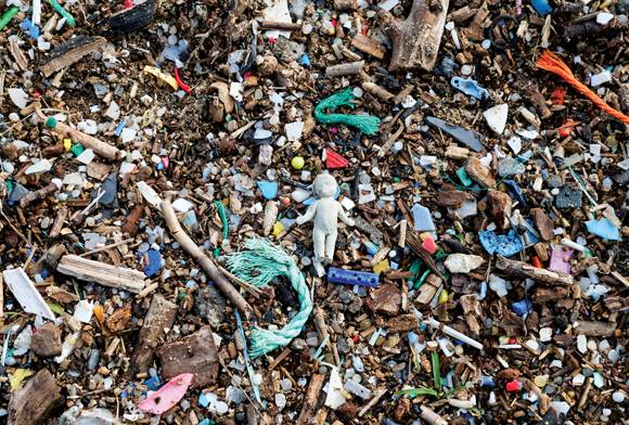 Real People, Real Food