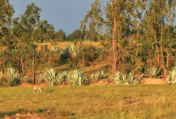 Getting More Bang For The Buck