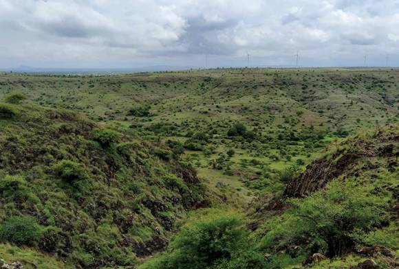 The Sentinels Of The Deccan Plains: The Wolves Of Kiraksal