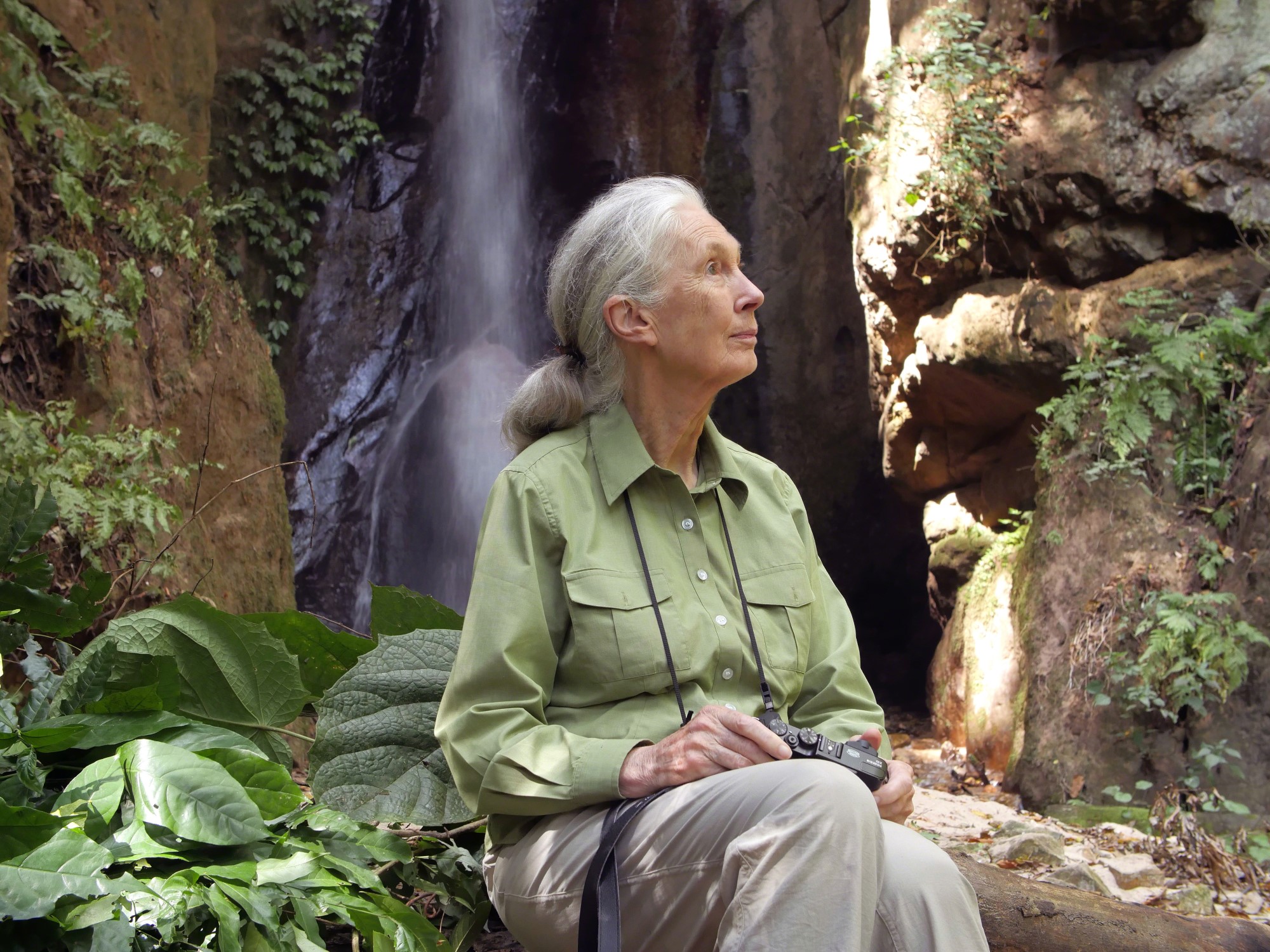 DR. JANE GOODALL, DBE, Legendary scientist, ethologist, conservationist and messenger of peace