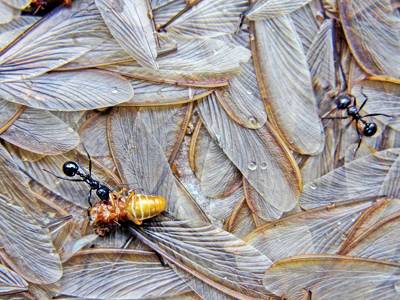 Turn Down Lights, Turn Up Life