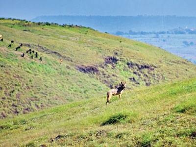 Un-zoning Kaziranga’s Wilderness