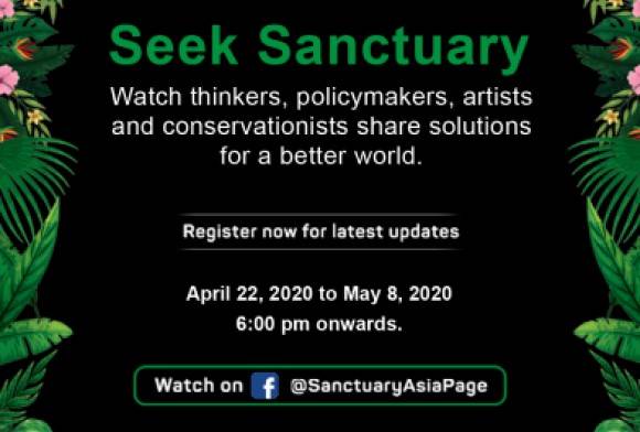 Seek Sanctuary