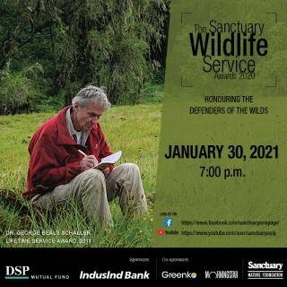 Sanctuary Wildlife Awards 2020