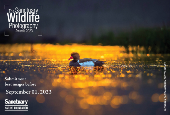 The Sanctuary Wildlife Photography Awards 2023