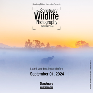 The Sanctuary Wildlife Photography Awards 2024