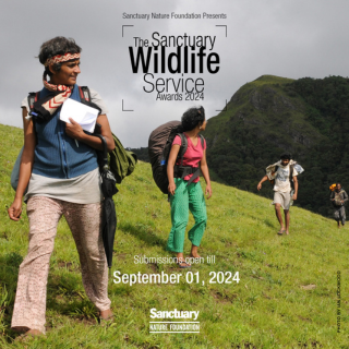 Sanctuary Wildlife Service Awards 2024