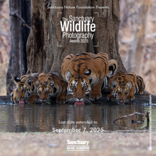 The Sanctuary Wildlife Photography Awards 2025