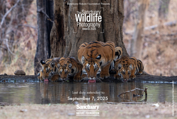 The Sanctuary Wildlife Photography Awards 2025