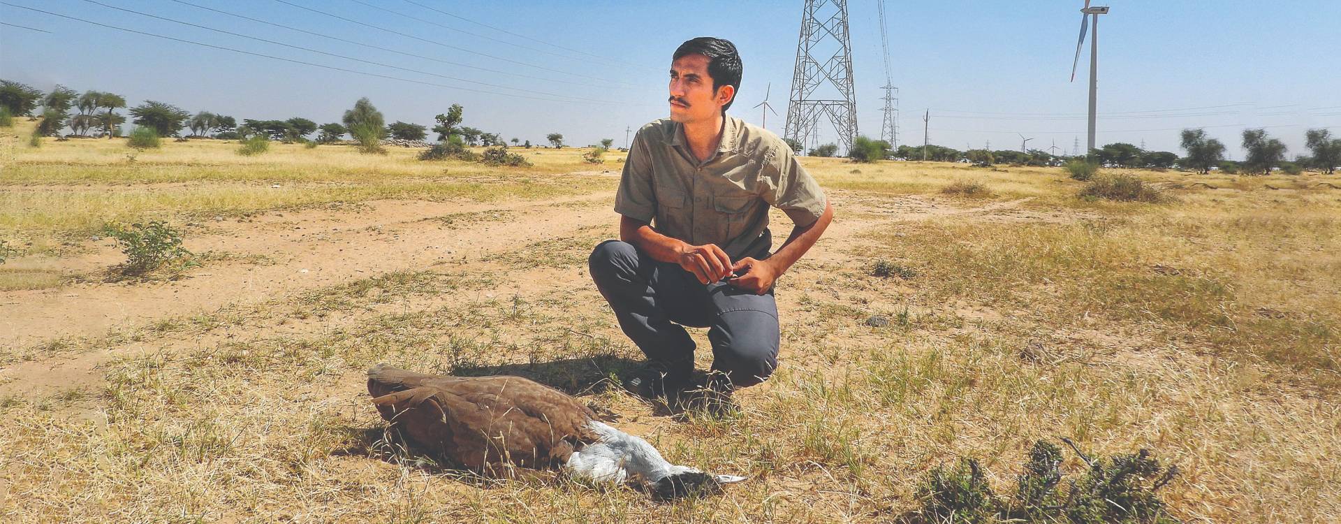The Godawan Man Of India (1996-2025)