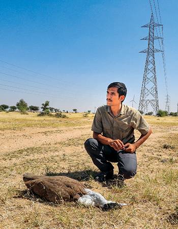The Godawan Man Of India (1996-2025)