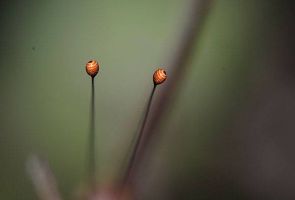 You are being watched